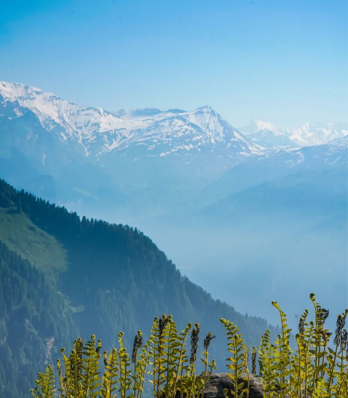 Untitled (700 x 800 px) (32) Darjeeling Romantic Hills – 3N/4D - Image 1