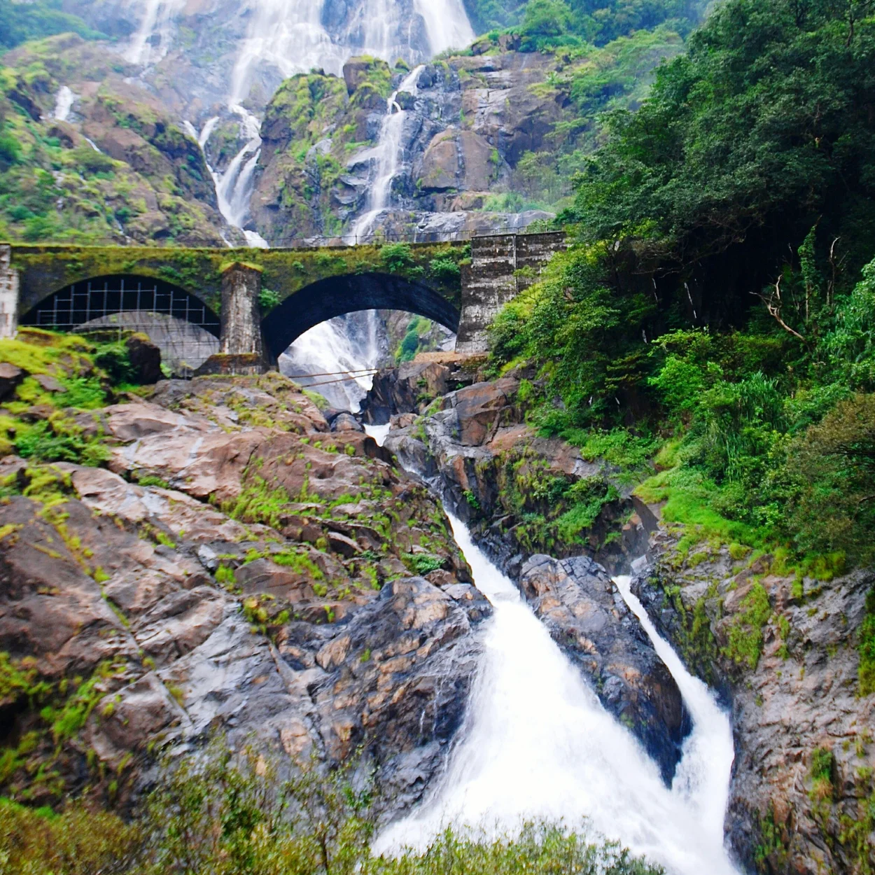 Untitled-design-23.webp Meghalaya Solo Group Tour – 4N/5D - Image 1
